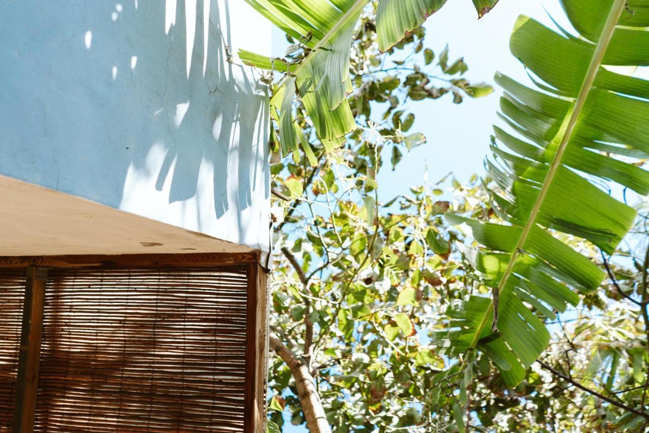 Tortuga Blue House In Banana Plantation Villa Arucas Exteriör bild